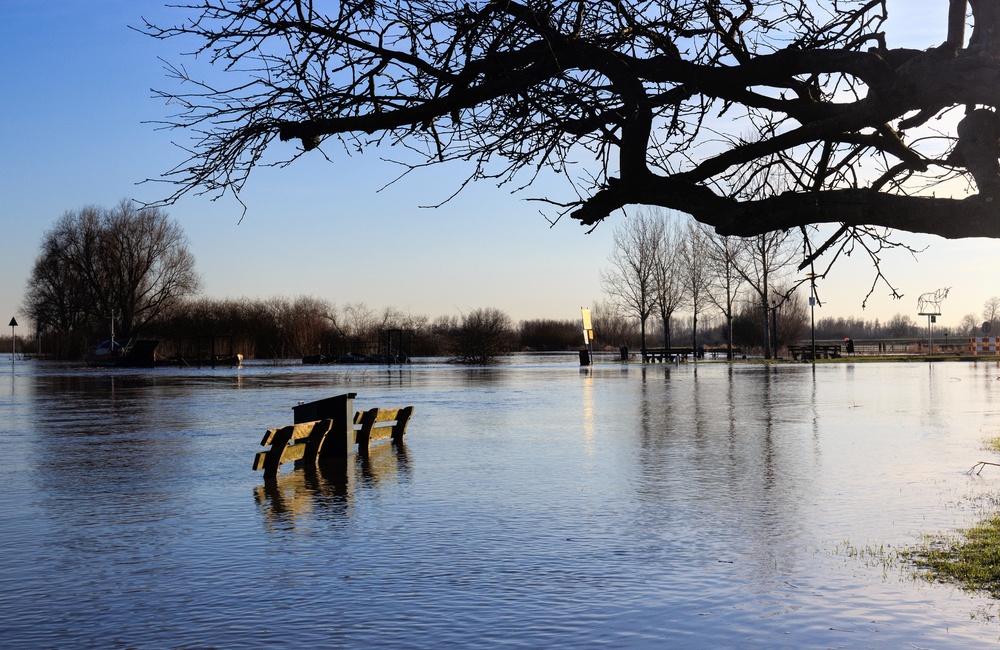Overstroomde uiterwaarden Dieren - 2016