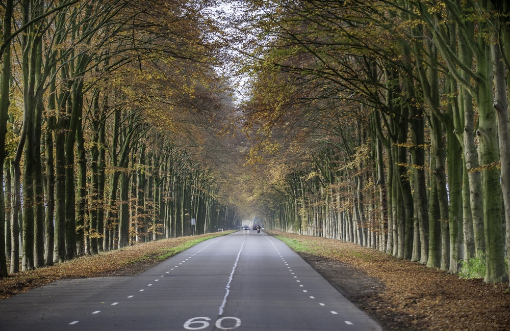 Middachterallee - 2015