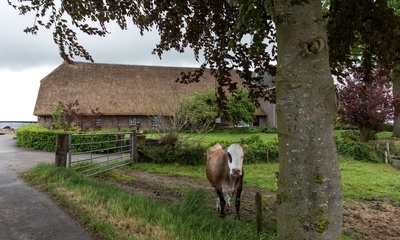 Boerderij Noordingsbouwing