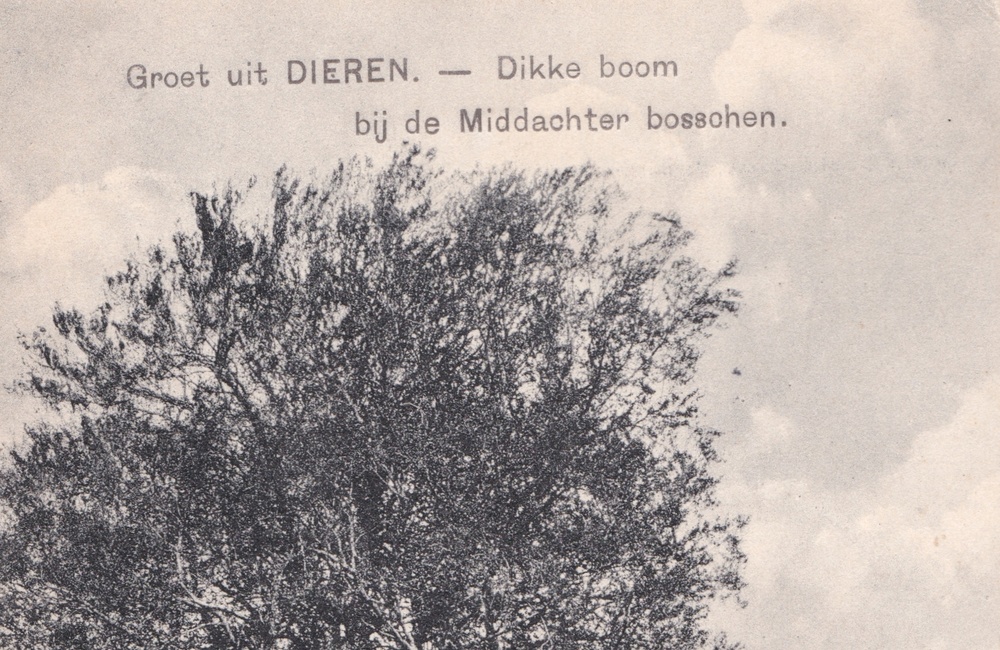De Oude Arnhemseweg - 1926