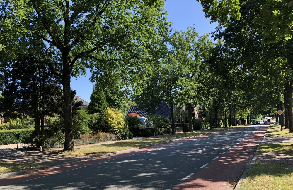 Ringallee, nog steeeds met bomen omzoomd 2026