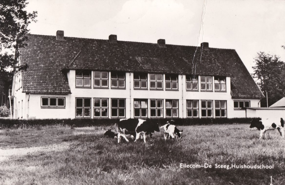 De Eikenstraat met huishoudschool  - 1965