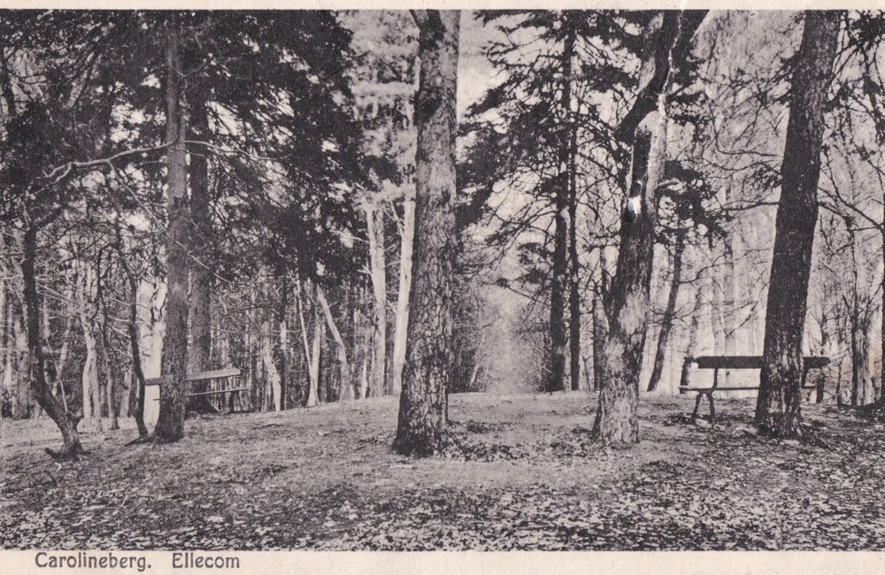 Carolinaberg - 1932