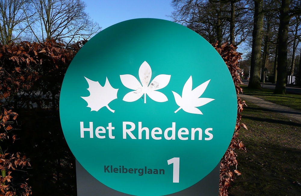 Esdoornblad in logo