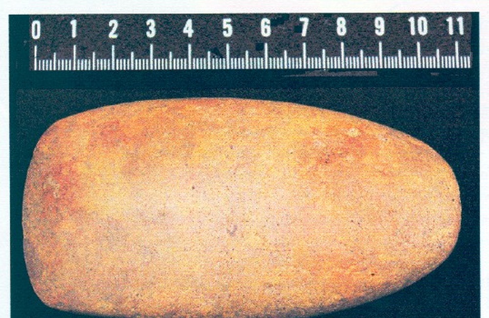 Vuistbijl