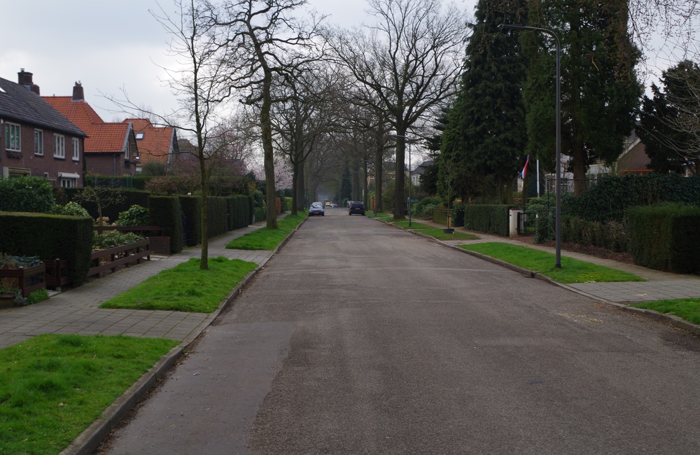 Biesdelselaan