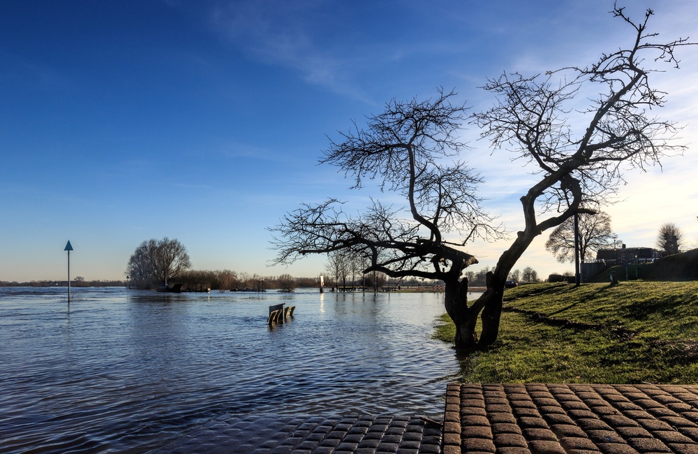 Overstroomde uiterwaarden Dieren - 2016