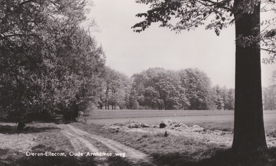 Oude Arnhemseweg Veluwezoom