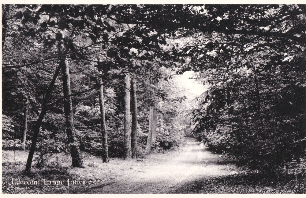 De Lange Juffer - 1955