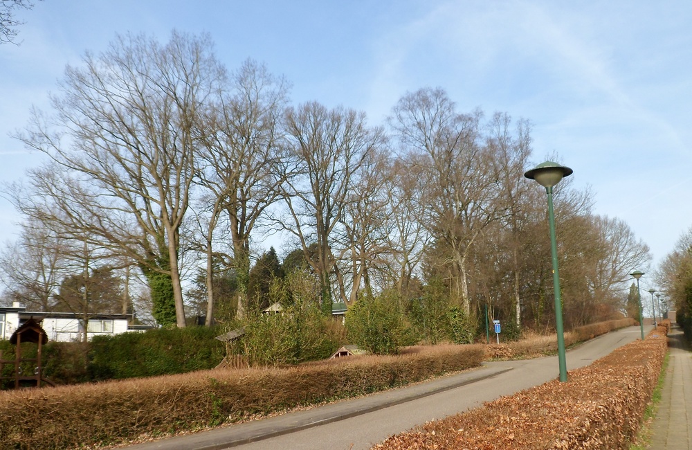De straat Steenhoek waaraan de school lag.