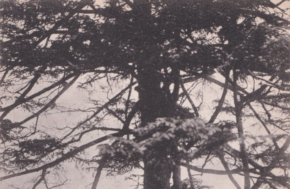 Uitzicht Kijkover - 1923