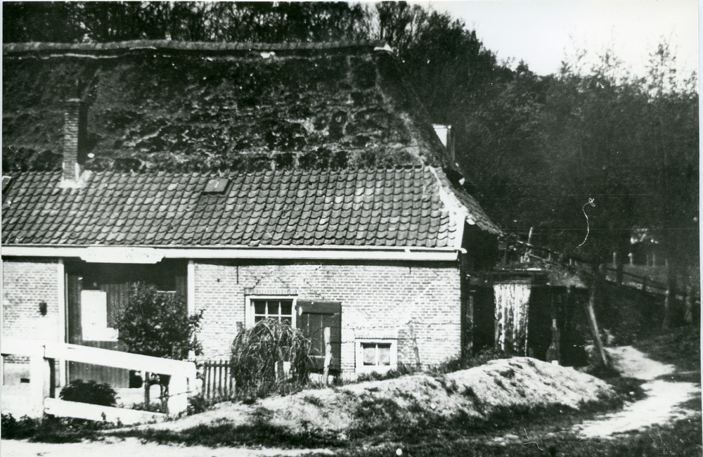 Korenmolen met dijkje langs de beek