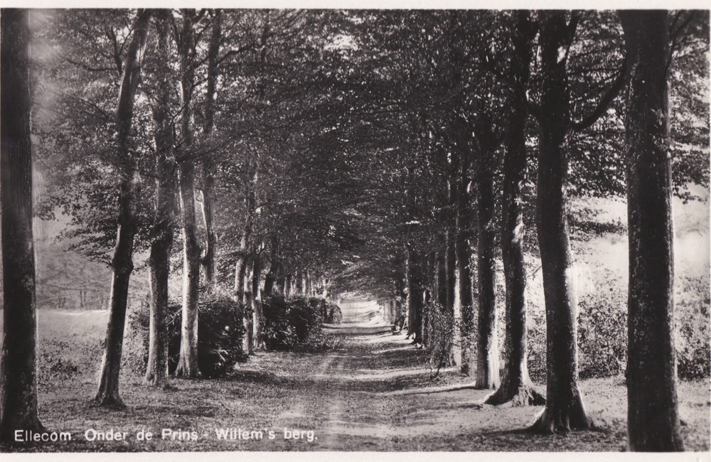 Prins Willemsberg - 1939