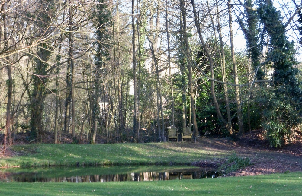 Molenvijver bij Rosendaalselaan 31