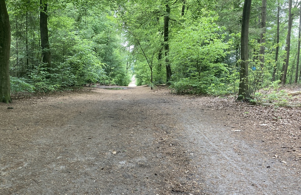 Oostlaan 3