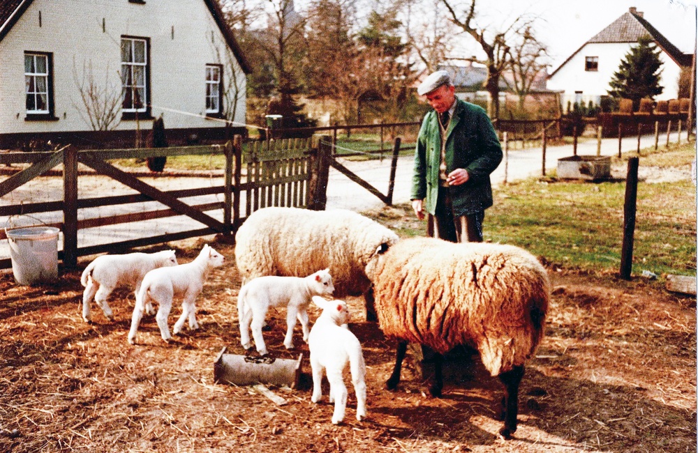 G.W. Stegerman jr. bij zijn schapen