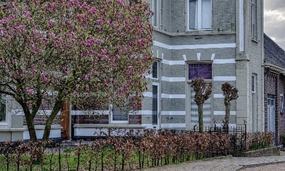 Deel voorgevel villa