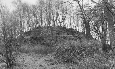 Kapellenberg