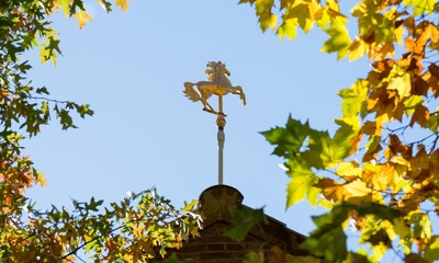 Puntdak kerk