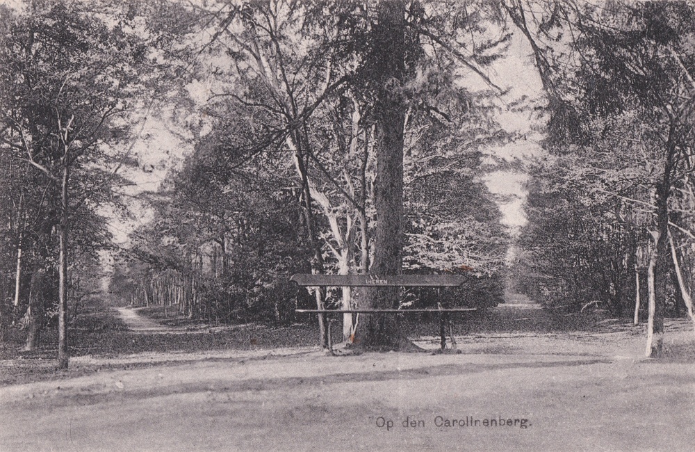 Carolinaberg - 1930