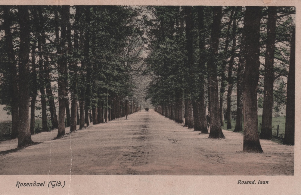 Rosendaelselaan ongeveer halverwege