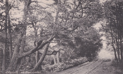 De Steenkuilen