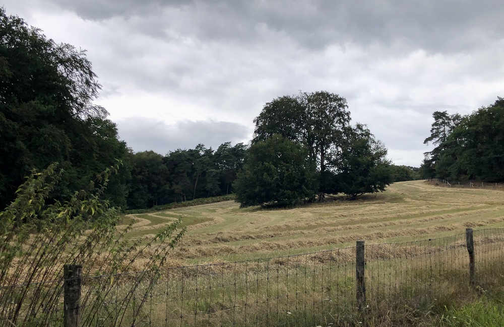 Gras gemaaid bij Klaphek - 2026