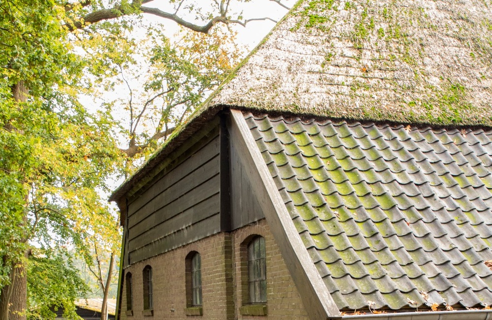 Zijkant bij de beek - 2016