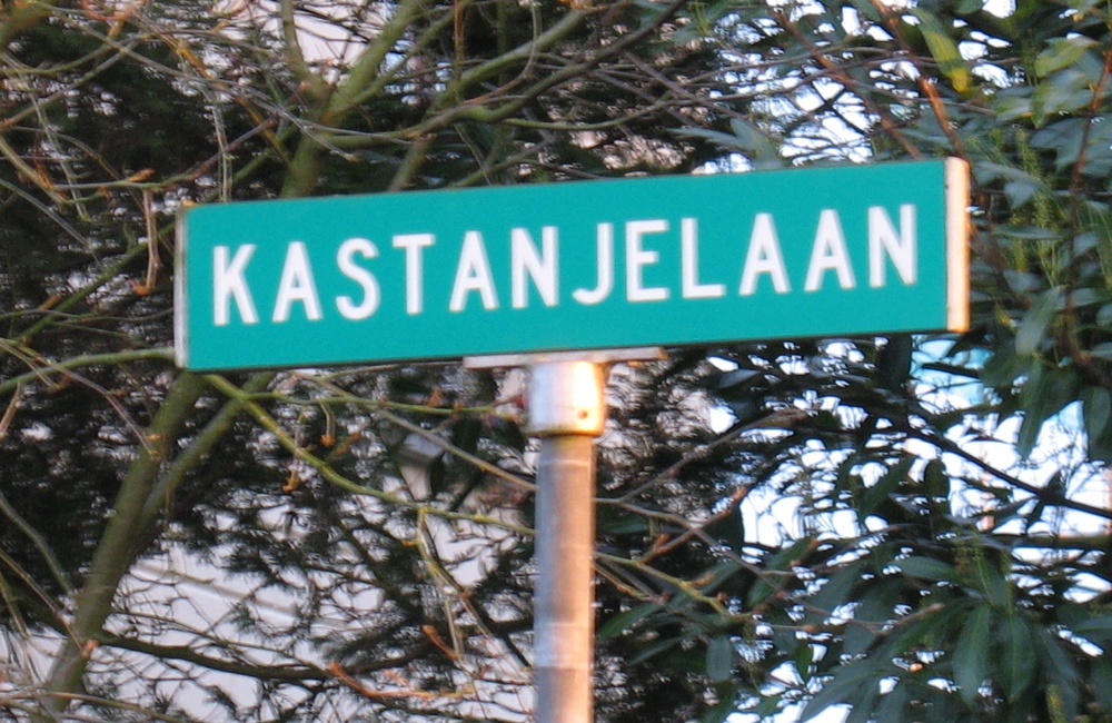 Kastanjelaan - 2016