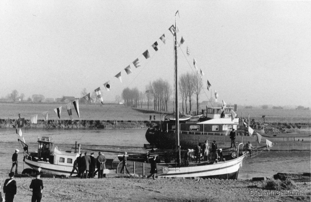 Veer Sinterklaas2 1960 JES