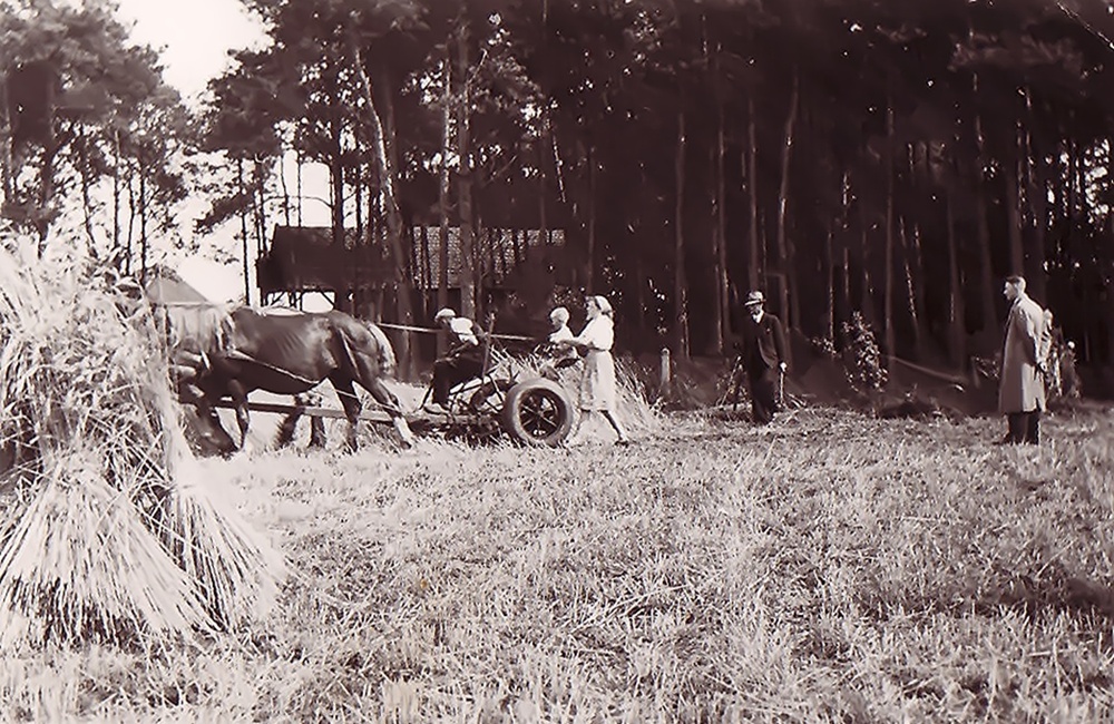 Boerderij "t Veentje, Harderwijkerweg 87. B.J. Braakman maait het land.
