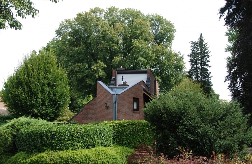Woning met achter een zilveresdoorn-2020