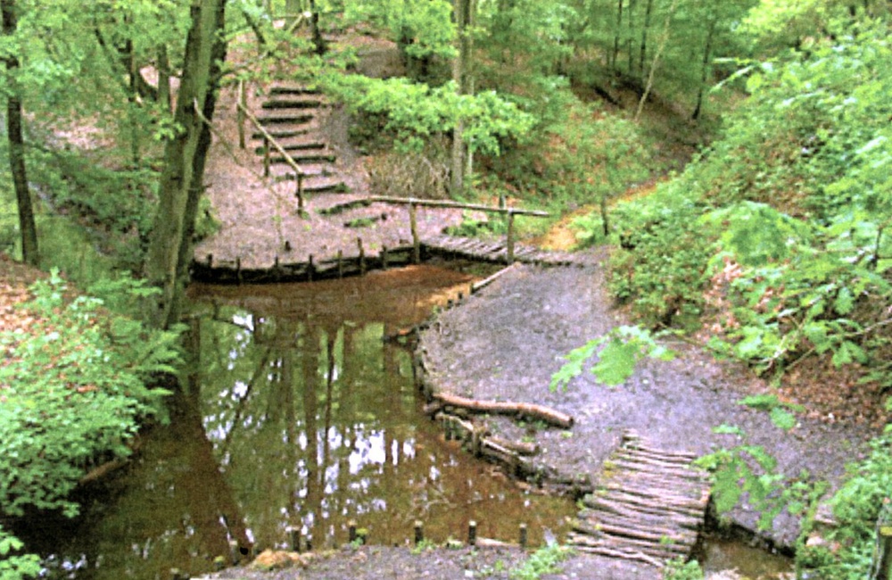 Driesprong sprengenkop - 2002