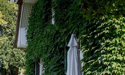 Detail gevel