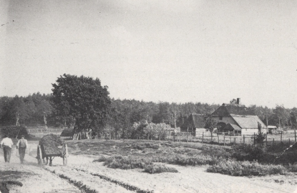 Imbosch - 1905