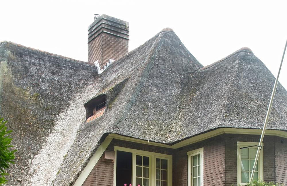 Ingang Hogeweg 35  - 2016