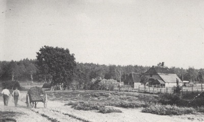 Imbosch