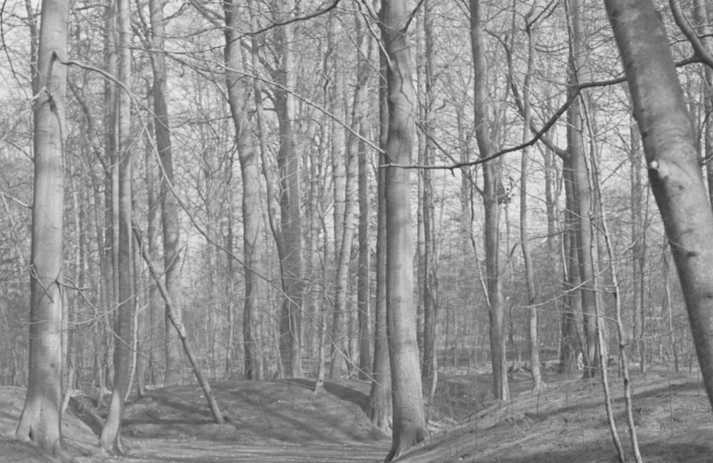 Spreng van Daalhuizen met aanlegsteiger - ca 1930