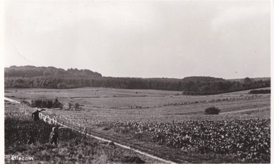Lappendeken