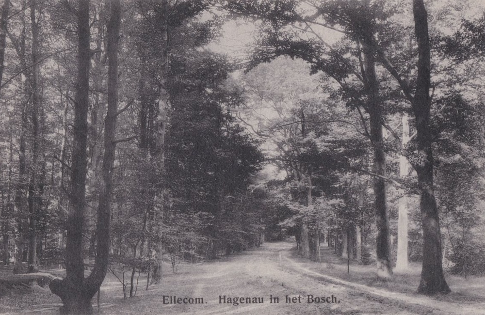 Hagenau - 1934