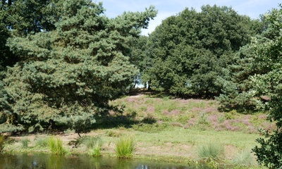 Potjesberg