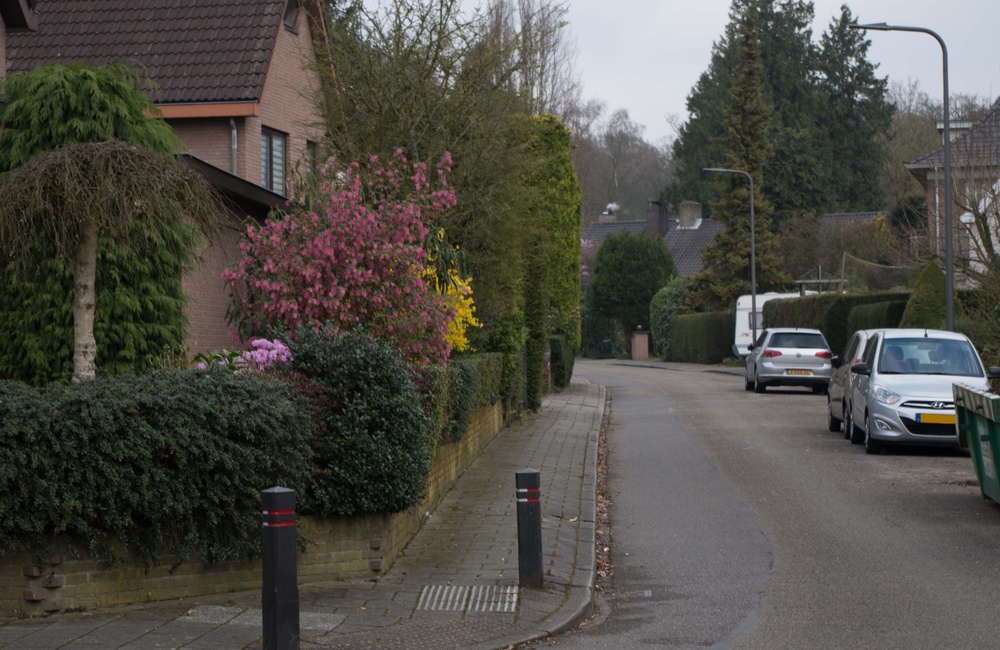 Bosweg