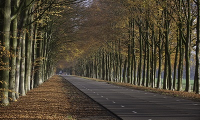 Middachterallee De Steeg
