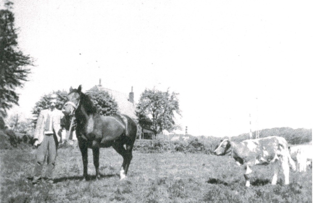 Kerkhoeve (Het Kleine Laar)