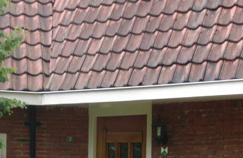 Voordeur 2   - 2016
