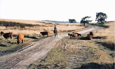 Tunnekes of Tonnetjes