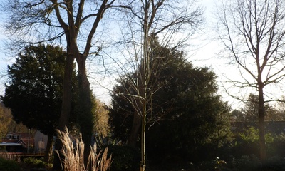 Tuin bij Herenkerk