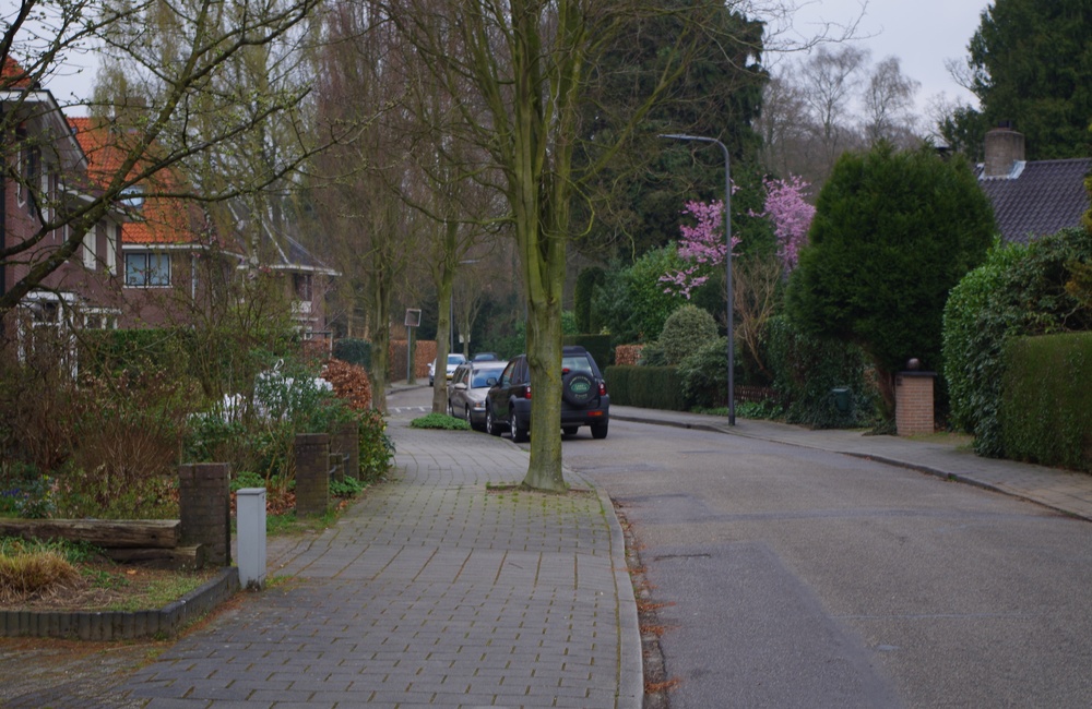 Bosweg in de richting van de Ringallee