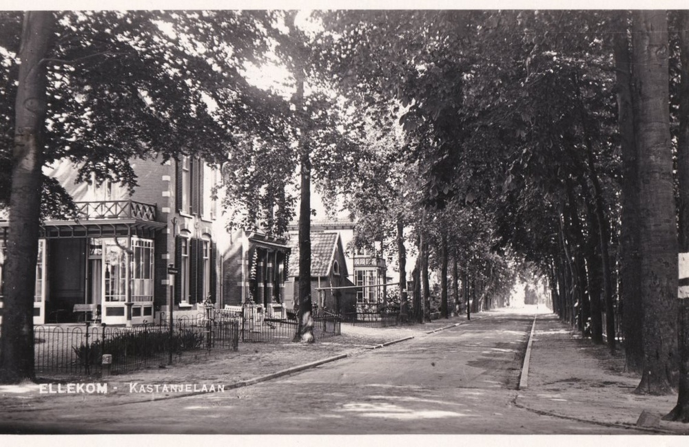 Kastanjelaan, inmiddels bestraat - 1925