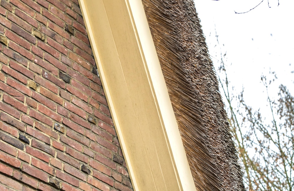 Detail rieten kap 2016